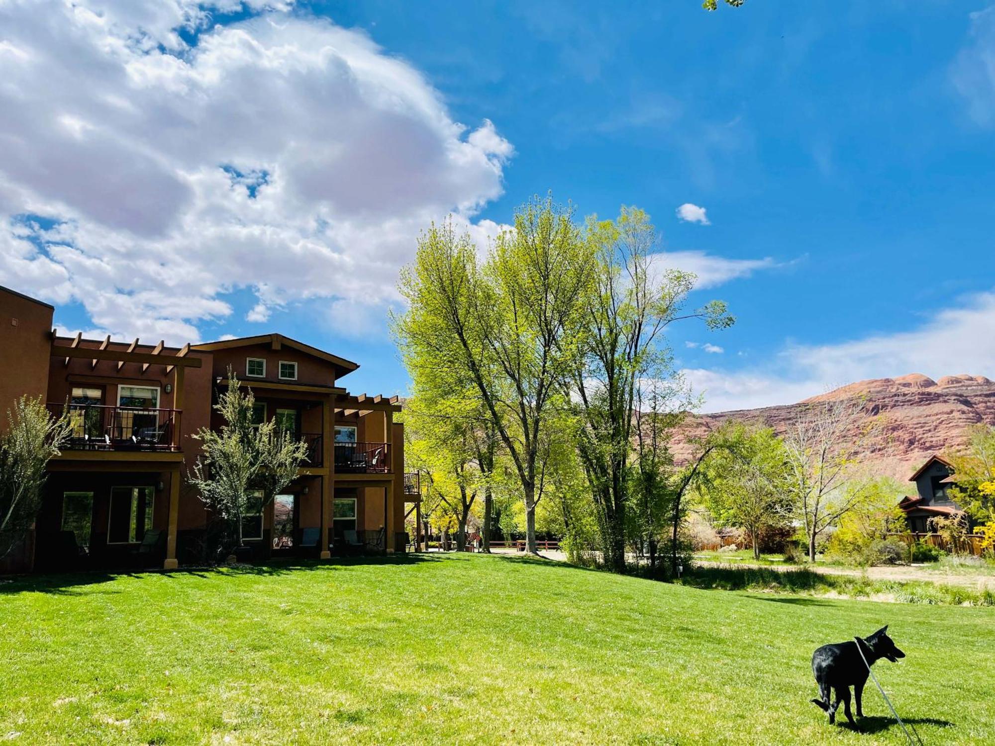 The Gonzo Inn Moab Εξωτερικό φωτογραφία